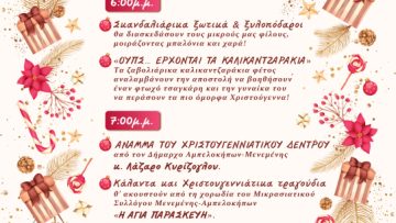 ΑΦΙΣΑ ΑΝΑΜΜΑ ΔΕΝΤΡΟΥ ΜΕΝΕΜΕΝΗ_02