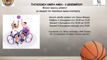 μπασκετ αμεα