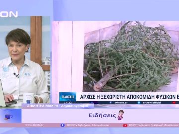 Ειδήσεις | Ξεκινάμε Μαζί | 09/01/2023