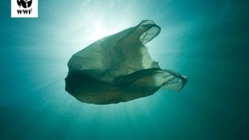 πλαστικο θαλασσα