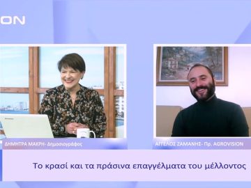 Ποιο το όραμα του domaine agrovision  | Ξεκινάμε Μαζί | 10/02/2023