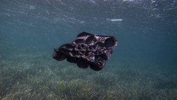 ΒΡΑΒΕΙΟ στην κατηγορία Κλιματική Κρίση