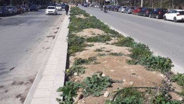 ΦΩΤΟΓΡΑΦΙΑ ΝΗΣΙΔΑ (2)