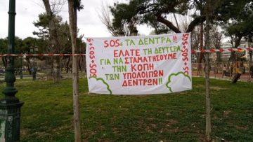 δεντρα ρωμαικη αγορά