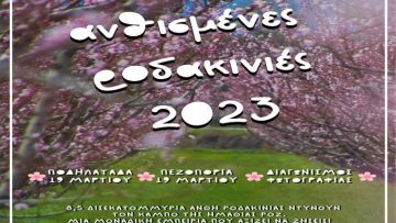 ροδακινιές