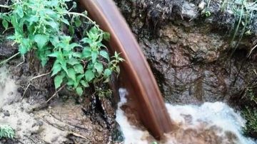 2023-04-20 ΦΩΤΟ 1