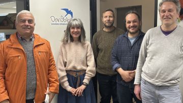 prasino mov synansisi