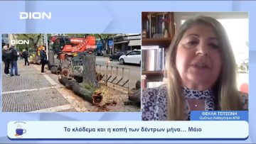 Το κλάδεμα και η κοπή των δέντρων μήνα… Μάιο | Ξεκινάμε Μαζί | 29/05/23