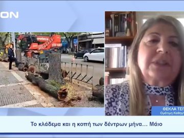 Το κλάδεμα και η κοπή των δέντρων μήνα… Μάιο | Ξεκινάμε Μαζί | 29/05/23