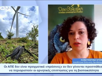 Ποιες είναι οι θέσεις της Ορνιθολογικής για τις ΑΠΕ | Ξεκινάμε Μαζί | 31/05/23