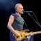 sting