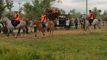 ΠΡΩΤΑΘΛΗΜΑ -ΔΙΕΘΝΕΙΣ ΑΓΩΝΕΣ ΙΠΠΙΚΗΣ ΑΝΤΟΧΗΣ 1