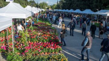 ανθοέκθεση