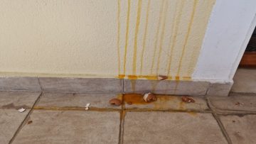 αυγα ωραιόκαστρο επιθέσεις