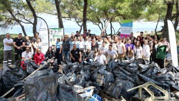 γλαροκαβος