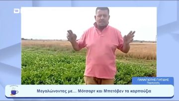 Μεγαλώνοντας με… Μότσαρτ και Μπετόβεν τα καρπούζια | Ξεκινάμε Μαζί | 14/06/23