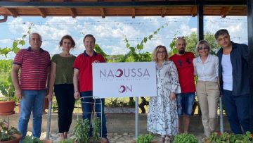 Νάουσα_Κρασί_1