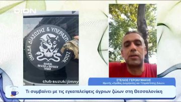 Τι συμβαίνει με τις εγκαταλείψεις άγριων ζώων στη Θεσσαλονίκη | Ξεκινάμε Μαζί | 04/07/23