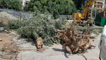 Foto kopis1-20230706-