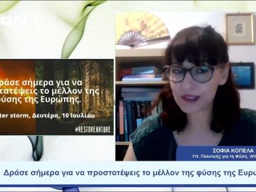 Μια καταιγίδα στο… Twitter |  Ξεκινάμε Μαζί | 11/07/23