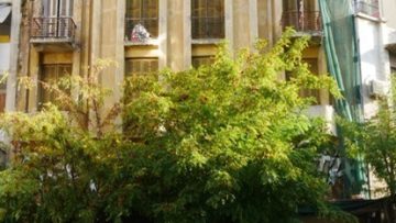 Φωτογραφία 2