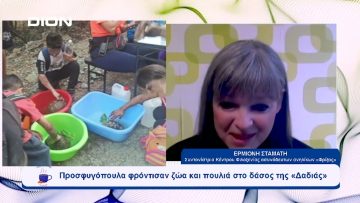 Προσφυγόπουλα φρόντισαν ζώα και πουλιά στο δάσος της «Δαδιάς»  | Ξεκινάμε Μαζί | 18/09/2023