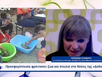 Προσφυγόπουλα φρόντισαν ζώα και πουλιά στο δάσος της «Δαδιάς»  | Ξεκινάμε Μαζί | 18/09/2023