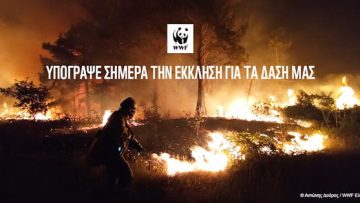 εκκληση δαση