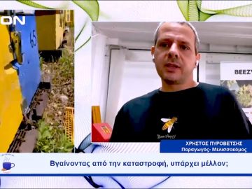 Όλα έτοιμα για τη 14η Γιορτή Μελιού Θεσσαλονίκης |  Ξεκινάμε Μαζί | 24/10/23