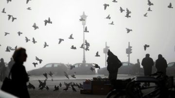 27-02-2014OMIXLI__H0G3543