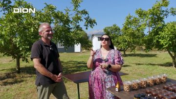 Τα Μαγειρέματα της Έλσας | Πλάκα Λιτοχώρου και… Μέλι | 01/10/23