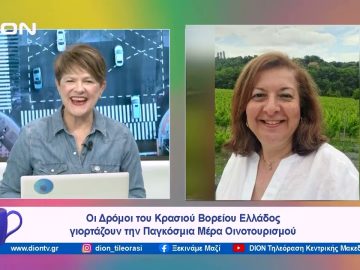 Την Κυριακή 12 Νοεμβρίου Παγκόσμια Μέρα Οινοτουρισμού | Ξεκινάμε Μαζί  | 09/11/2023