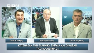 Κατέβασαν την Ελληνική σημαία και σήκωσαν της Παλαιστίνης; | Άνω Κάτω | 06/11/2023