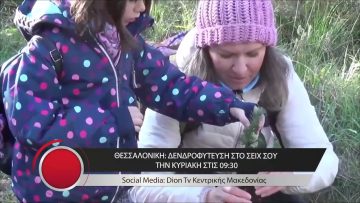 Το δελτίο ειδήσεων της DION TV | 10/11/2023