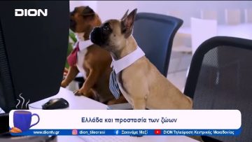 Ελλάδα και προστασία των ζώων | Ξεκινάμε Μαζί | 24/01/2024