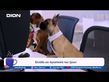 Ελλάδα και προστασία των ζώων | Ξεκινάμε Μαζί | 24/01/2024