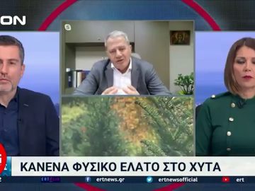 Το δελτίο ειδήσεων της DION TV | 04/01/2024