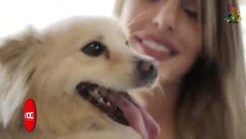 Το δελτίο ειδήσεων της DION TV | 12/01/2024