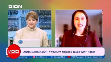 Το δελτίο ειδήσεων της DION TV | 17/01/2024