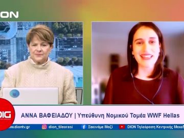 Το δελτίο ειδήσεων της DION TV | 17/01/2024