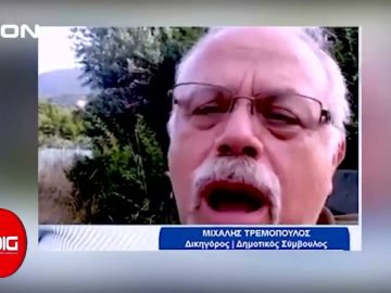 Το δελτίο ειδήσεων της DION TV | 31/01/2024