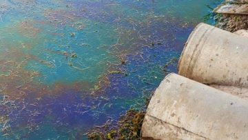 περιβαλλο, εε