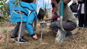 δάσος+Νεάπολη