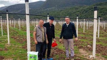 τσιμπονιδης