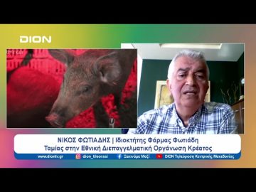 Κίνδυνοι για τον Μαύρο Χοίρο από την Αφρικανική Πανώλη | Ξεκινάμε Μαζί | 05/04/2024