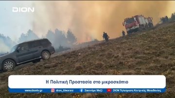 Δασικές πυρκαγιές σε Πιέρια και Κρήτη εκτός αντιπυρικής περιόδου | Ξεκινάμε Μαζί | 10/04/2024