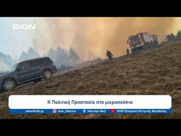 Δασικές πυρκαγιές σε Πιέρια και Κρήτη εκτός αντιπυρικής περιόδου | Ξεκινάμε Μαζί | 10/04/2024