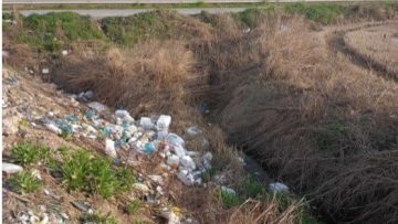 futofarmaka-aleksandreia2