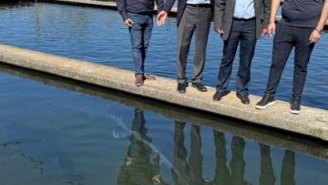 παπανδρεου