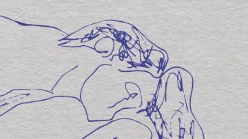 exofyllo-synantiseis